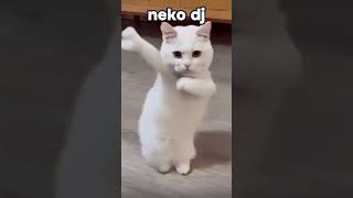 neko dj dance foryou roblox tdsdj tds tdsmemes tdsmeme foryou foryoupage gaming roblox [upl. by Ahcmis]