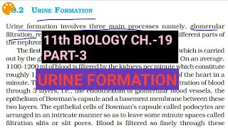 Class 11 BiologyCh19 Part3Urine formationStudy with Farru [upl. by Farny881]