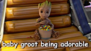 baby groot being adorable [upl. by Carlie]