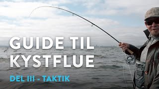 Guide til kystfiskeri efter havørred på flue Del 3  TAKTIK [upl. by Alla33]