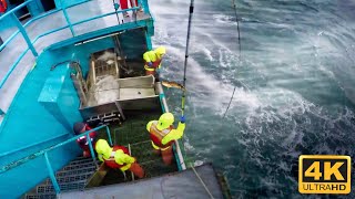 Life On USs Largest Longline Fishing Vessel  Fishing On the High Seas [upl. by Kirrad]