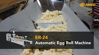 ANKO Automatic Egg Roll Machine [upl. by Ymorej790]