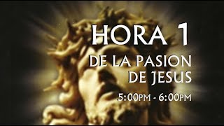 01 de 24 I Horas de la Pasión de Jesús Luisa Piccarreta Divina Voluntad [upl. by Lillis904]