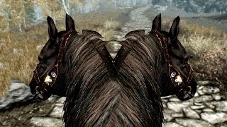 Skyrim Special Edition Dumb Yet Hilarious Glitches [upl. by Jacie]