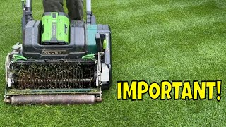 Two IMPORTANT Ways To HELP Keep LAWN DISEASE Away [upl. by Pelson409]