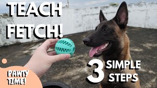 How To Teach Fetch In 3 Simple Steps [upl. by Trebor787]