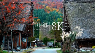 【日本三大秘境】白川郷の紅葉を訪ねて  Japan in 8K [upl. by Rosy]