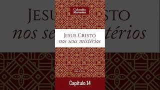 22 Áudio Livro Jesus Cristo nos seus mistérios  Columbia Marmion 2° Parte  Capítulo 14 [upl. by Suilienroc]