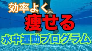 【老けないカラダを作る】保存版！水中運動完全プログラム [upl. by Ahoufe]