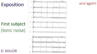 Haydn Symphony No 104 Revision Video  First movement [upl. by Socha]