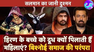 Why This Indian Tribe Loves Black Buck And Hates Salman Khan [upl. by Attecnoc]