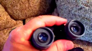 Best LowCost Binoculars vs Night Vision [upl. by Breger]