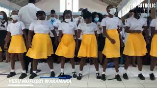 Zimbabwe Catholic Shona Songs  Yesu Mufudzi Wakanaka [upl. by Haidej430]