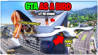 Seagull Trolling THE ENTIRE SERVER on GTA RP [upl. by Ynnam]