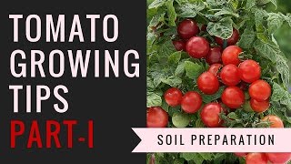 Create Best Growing Soil For Your Tomatoes [upl. by Hopkins614]