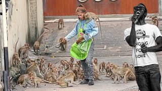 🐒 Life in The Real Monkey Town USA Thailand [upl. by Bringhurst]