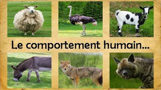 Le comportement humain comparé aux animaux [upl. by Lika]