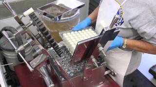 How Capsules are Made [upl. by Sesmar]