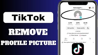 How To Remove Profile Picture On TikTok 2024 [upl. by Eneladgam]