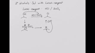 CHEM 222 Reaction of Alcohols with HCl [upl. by Kcira305]