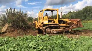 TD15C dozer at auction [upl. by Ahsineb]