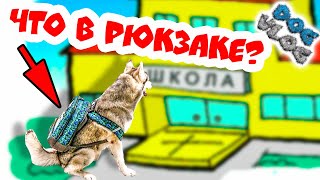 DOGVLOG ХАСКИ ИДЕТ В ШКОЛУ ЧТО В МОЕМ РЮКЗАКЕ Говорящая собака [upl. by Farley]