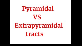 Pyramidal vs Extrapyramidal tracts [upl. by Nickolai]