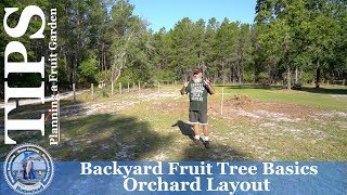 Backyard Fruit Tree Basics  Orchard Layout [upl. by Freeman]