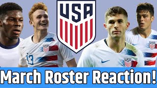 Reviewing Berhalters USMNT March Roster [upl. by Zabrina]