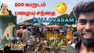 சென்னையில் இருக்கும் பழைய சந்தை  Chennai Pallavaram Friday Market in tamil [upl. by Arteid]