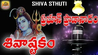 Prabhum Prananatham Vibhum Vishwanatham  Shiva ashtakam  Shiva Stuti Telugu  Shiva Stotram [upl. by Anovad]