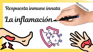 La inflamación RESPUESTA INMUME INNATA [upl. by Aggappera]