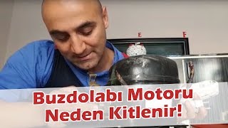 Buzdolabınız Soğutma Yapmıyorsa Bunun Bir Nedeni de Bu Olabilir Buzdolabı Motoru Neden Kitlenir [upl. by Bethena]