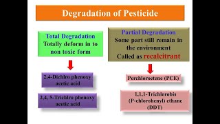 Principle of Biodegradation of PesticideXenobiotics [upl. by Rosalinde]