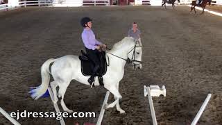 Cavaletti Training with bent and straight lines with Erika Jansson [upl. by Ydnahs]