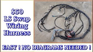 DIY LS Swap Standalone Wiring Harness  Super Simple  for the 53L Turbo RX7 Project [upl. by Lengel]