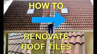 How to Renovate Roof Tiles  Klll Moss amp Restore Colour [upl. by Norret]