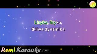 Grzegorz Turnau  Liryka karaoke  RemiKaraokecom [upl. by Ambert766]