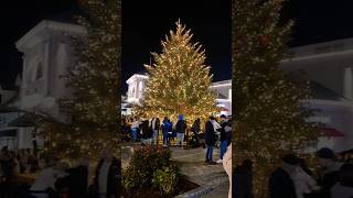 McArthurGlen Designer Outlet Cannock Christmas Lights switch on 2024 [upl. by Thirion]