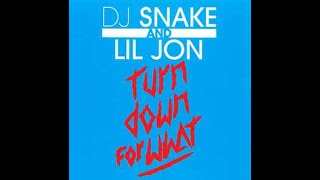 DJ Snake Lil Jon  Turn Down for What Lyrics [upl. by Nitsew]