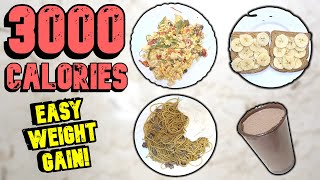 3000 Calorie Diet Plan That Helps You GAIN WEIGHT And MUSCLE [upl. by Ynaitirb]