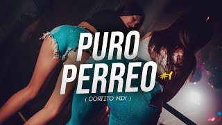 PURO PERREO 1  CORTITO MIX   MAURO RMX [upl. by Adnilab902]