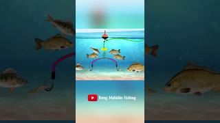 RIG FISHING DIY The secret of fisherman Fishing Knot skills fishing fishingknot diy tutorial [upl. by Nirrad672]