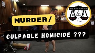 What is the difference between Murder and Culpable homicide  SA CASE LAW CARTOONS [upl. by Sirahs]