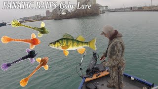 FANATIC BAITS Goby lure vs Lake Michigan Perch [upl. by Lordan]