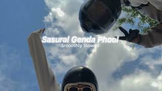 Sasural Genda Phool  Slowed Reverb And Bass Boosted [upl. by Aivax]