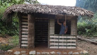 Primitive Technology Hut  Full video PrimitiveSkills [upl. by Heydon]