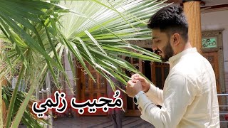 Aam Olas Ep  1605  Mujeeb Zalmay مجیب زلمي [upl. by Marcellina]