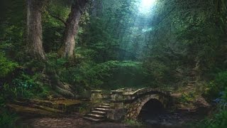 Forest Creek Sounds  3 Hours  Sleep Relax Focus or Meditation [upl. by Assetniuq100]