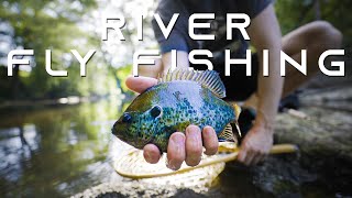 River Fly Fishing for Spotted Bass and BIG PANFISH [upl. by Snevets]